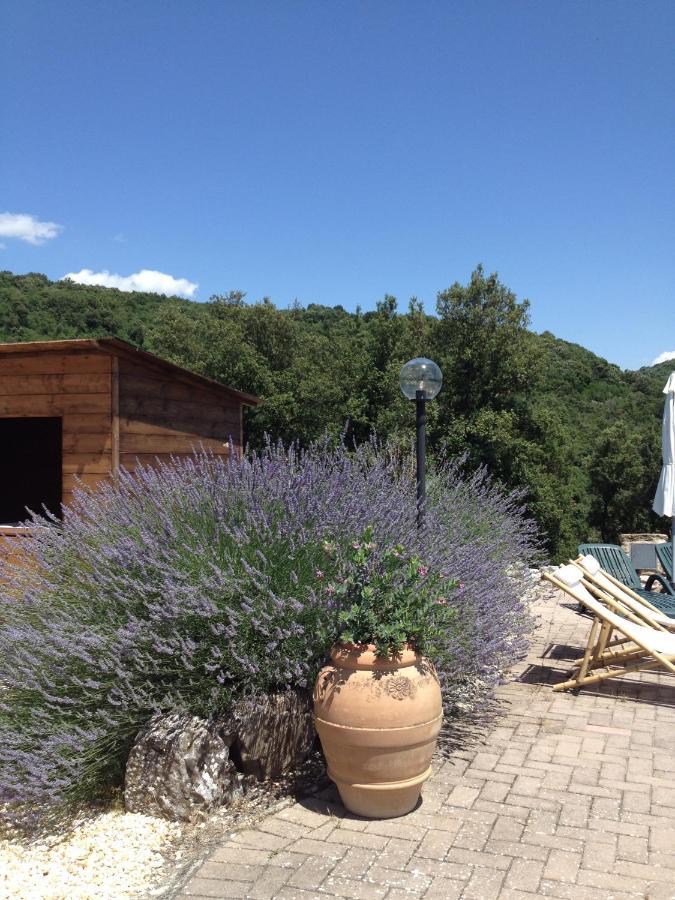 Podere La Castellina Podere Poggiaccio 外观 照片